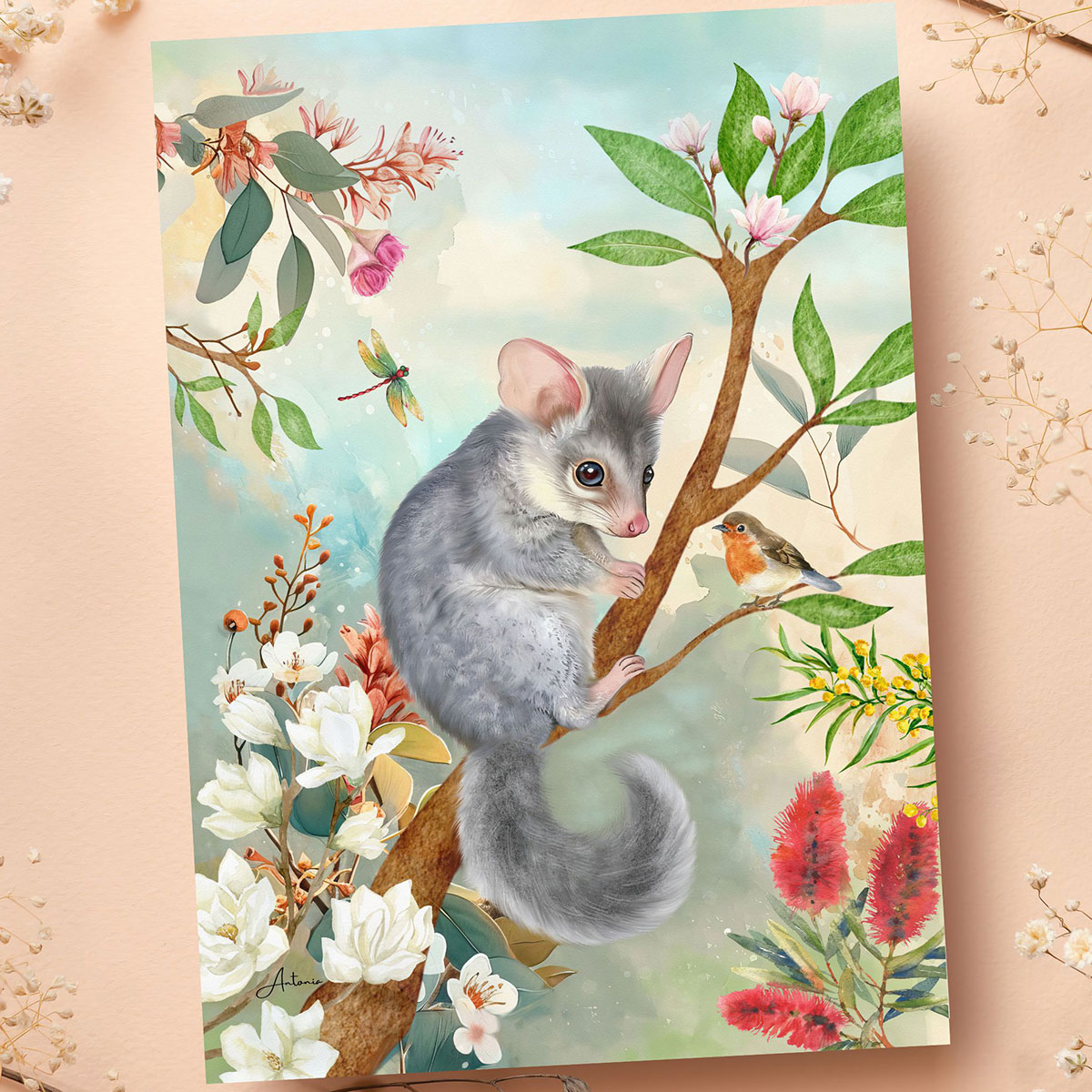 Possum Pastel Australian Greeting Gift Card